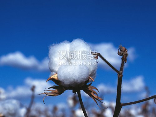 一场棉花危机,暴露出了纺织企业之间的差距